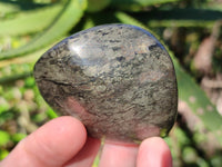 Polished Rare Pharaoh Stone Pyrite in Basalt Palm Stones x 12 Iron Duke Mine, Zimbabwe