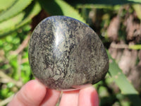 Polished Rare Pharaoh Stone Pyrite in Basalt Palm Stones x 12 Iron Duke Mine, Zimbabwe