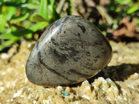 Polished Rare Pharaoh Stone Pyrite in Basalt Palm Stones x 12 Iron Duke Mine, Zimbabwe