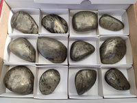 Polished Rare Pharaoh Stone Pyrite in Basalt Palm Stones x 12 Iron Duke Mine, Zimbabwe