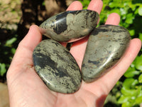 Polished Rare Pharaoh Stone Pyrite in Basalt Palm Stones x 12 Iron Duke Mine, Zimbabwe