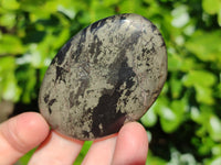 Polished Rare Pharaoh Stone Pyrite in Basalt Palm Stones x 12 Iron Duke Mine, Zimbabwe