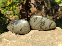 Polished Rare Pharaoh Stone Pyrite in Basalt Palm Stones x 12 Iron Duke Mine, Zimbabwe