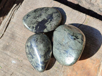 Polished Rare Pharaoh Stone Pyrite in Basalt Palm Stones x 12 Iron Duke Mine, Zimbabwe