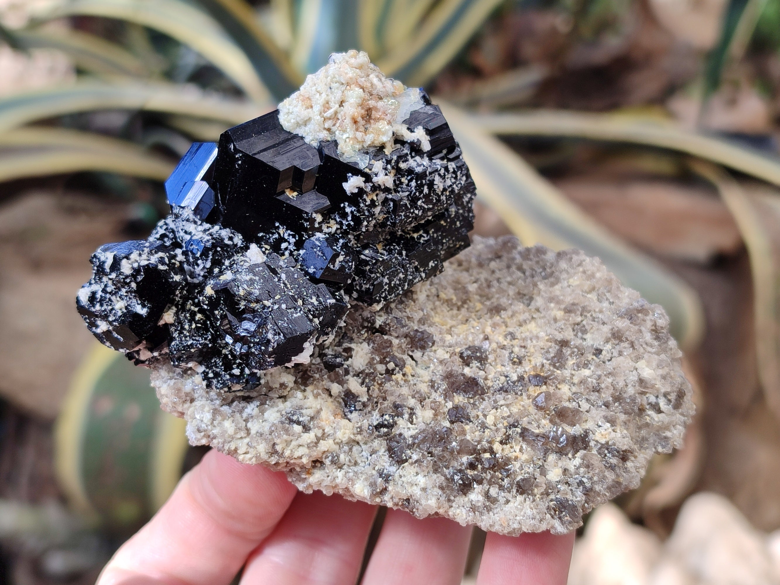 Natural Schorl Black Tourmaline on Orthoclase Matrix with Hyalite Opal x 4 From Erongo, Namibia - Toprock Gemstones and Minerals 