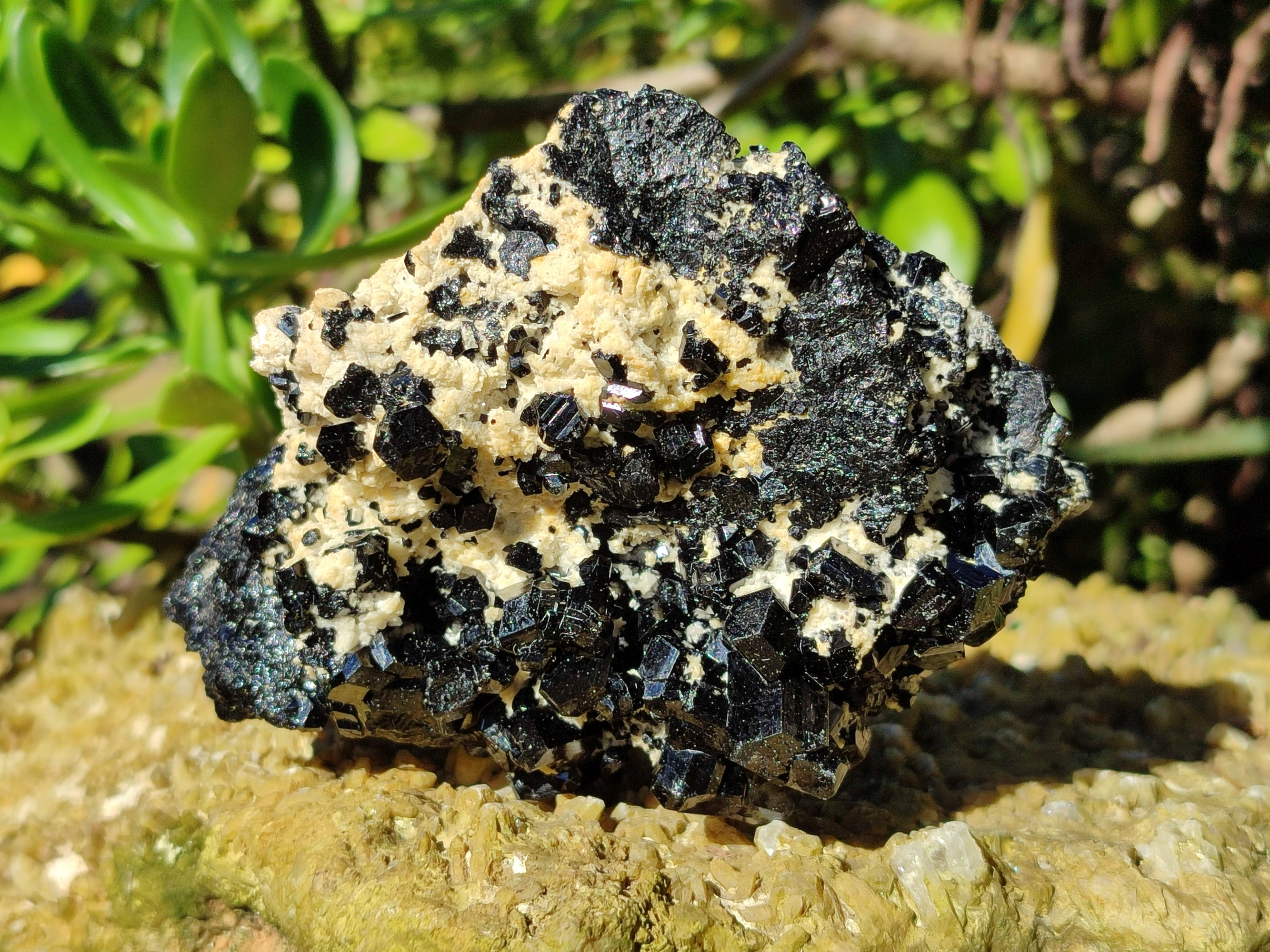 Natural Schorl Black Tourmaline on Orthoclase Matrix with Hyalite Opal x 4 From Erongo, Namibia - Toprock Gemstones and Minerals 