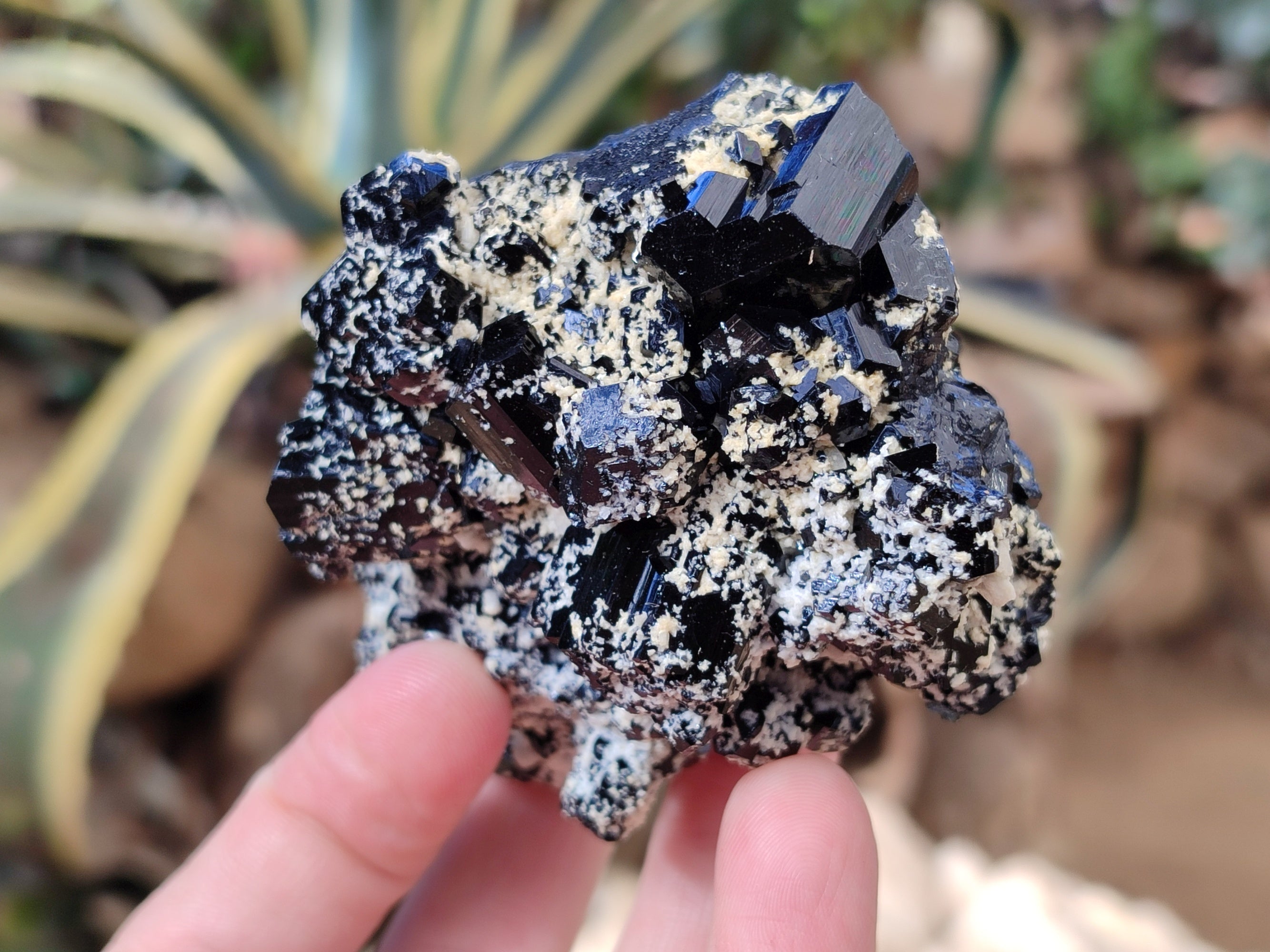 Natural Schorl Black Tourmaline on Orthoclase Matrix with Hyalite Opal x 4 From Erongo, Namibia - Toprock Gemstones and Minerals 