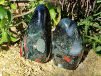 Polished Bloodstone Standing Free Forms x 2 From Swaziland
