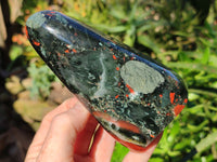 Polished Bloodstone Standing Free Forms x 2 From Swaziland