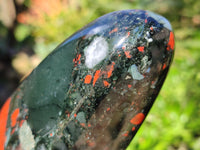 Polished Bloodstone Standing Free Forms x 2 From Swaziland