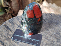 Polished Bloodstone Standing Free Forms x 2 From Swaziland