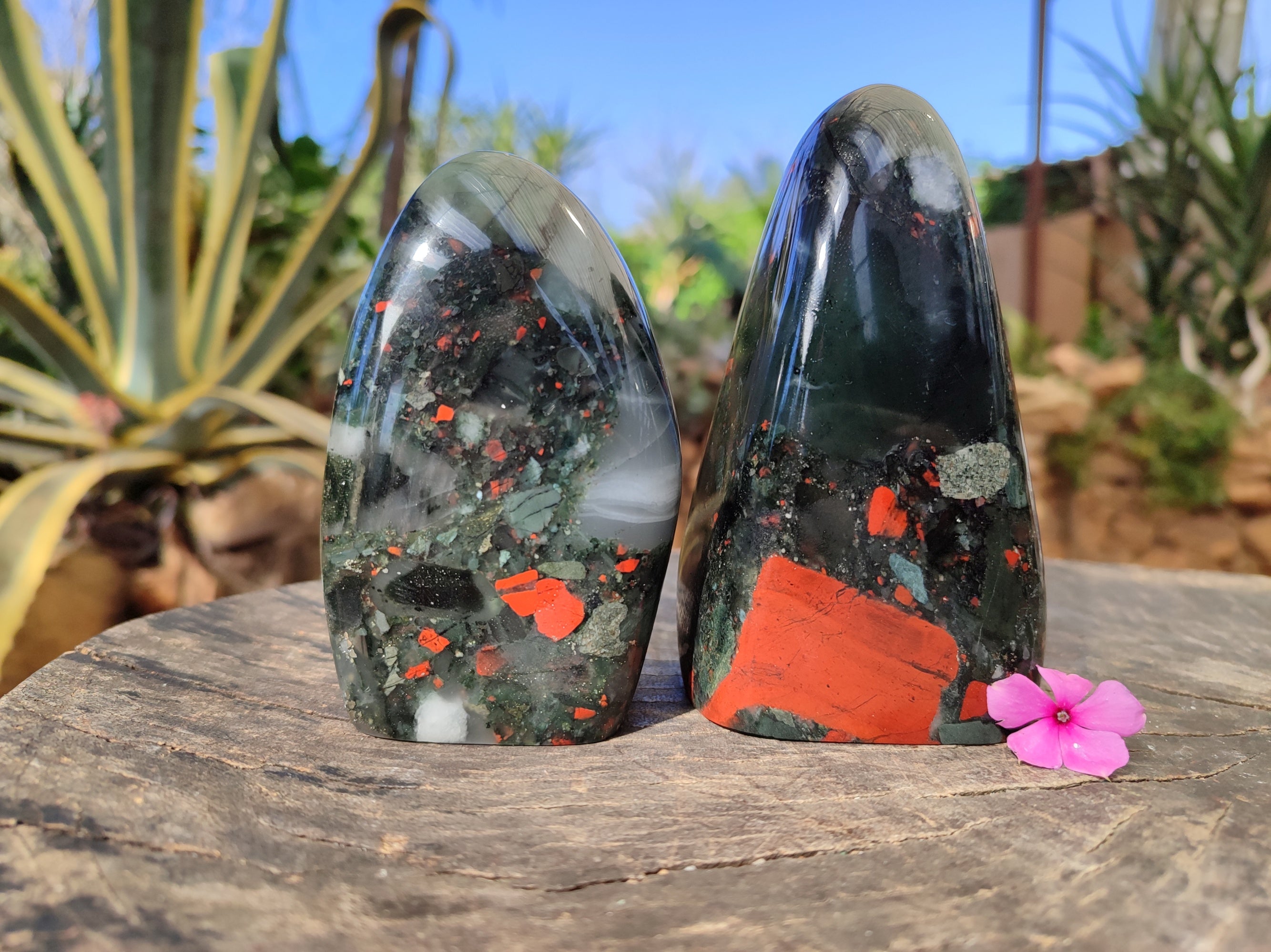 Polished Bloodstone Standing Free Forms x 2 From Swaziland - Toprock Gemstones and Minerals 