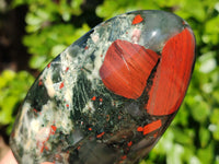 Polished Bloodstone Standing Free Forms x 2 From Swaziland