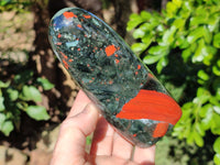 Polished Bloodstone Standing Free Forms x 2 From Swaziland