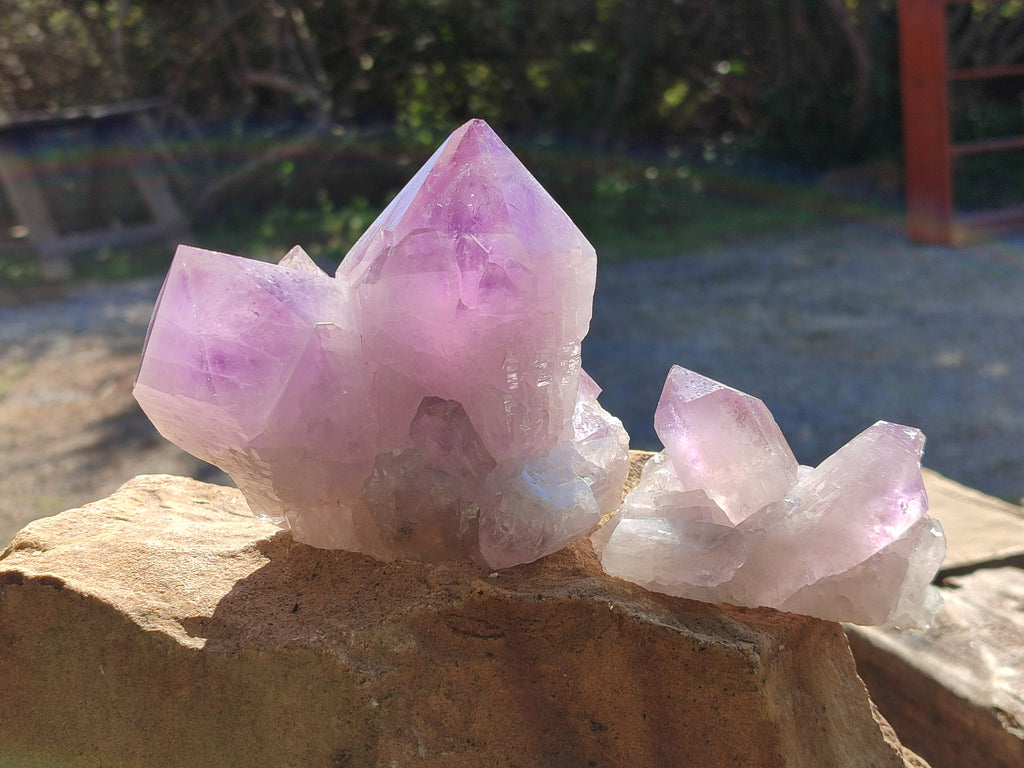Natural Jacaranda Amethyst Quartz Cluster x 3 From Mumbwa, Zambia - Toprock Gemstones and Minerals 