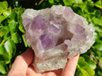 Natural Jacaranda Amethyst Quartz Cluster x 3 From Mumbwa, Zambia - Toprock Gemstones and Minerals 