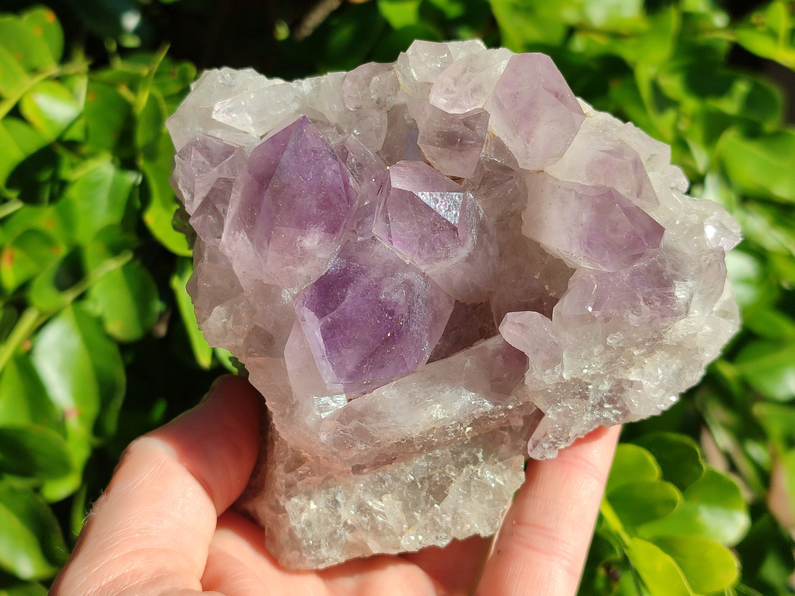 Natural Jacaranda Amethyst Quartz Cluster x 3 From Mumbwa, Zambia - Toprock Gemstones and Minerals 