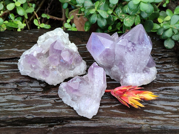 Natural Jacaranda Amethyst Quartz Cluster x 3 From Mumbwa, Zambia