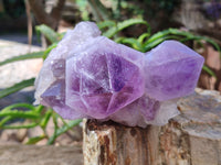 Natural Jacaranda Amethyst Quartz Cluster x 3 From Mumbwa, Zambia - Toprock Gemstones and Minerals 