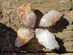Natural White Cactus Spirit Quartz Clusters x 20 From South Africa - Toprock Gemstones and Minerals 