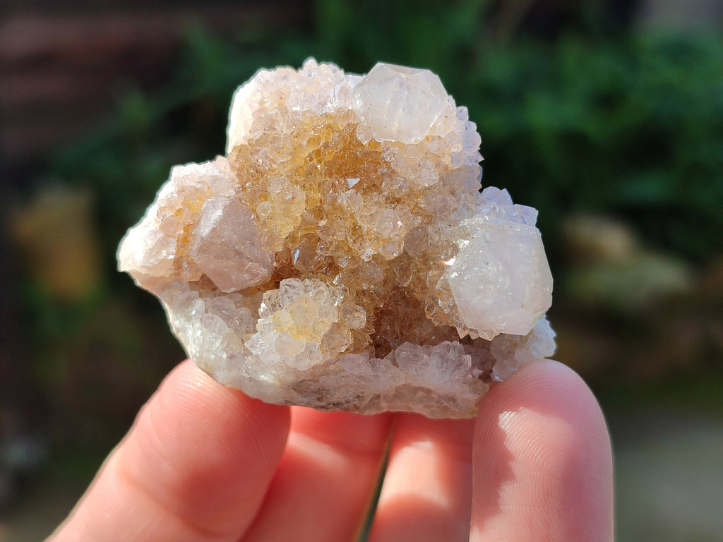 Natural White Cactus Spirit Quartz Clusters x 20 From South Africa - Toprock Gemstones and Minerals 