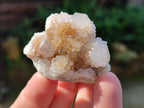 Natural White Cactus Spirit Quartz Clusters x 20 From South Africa - Toprock Gemstones and Minerals 