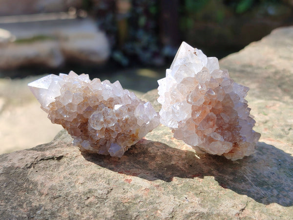 Natural White Cactus Spirit Quartz Clusters x 20 From South Africa