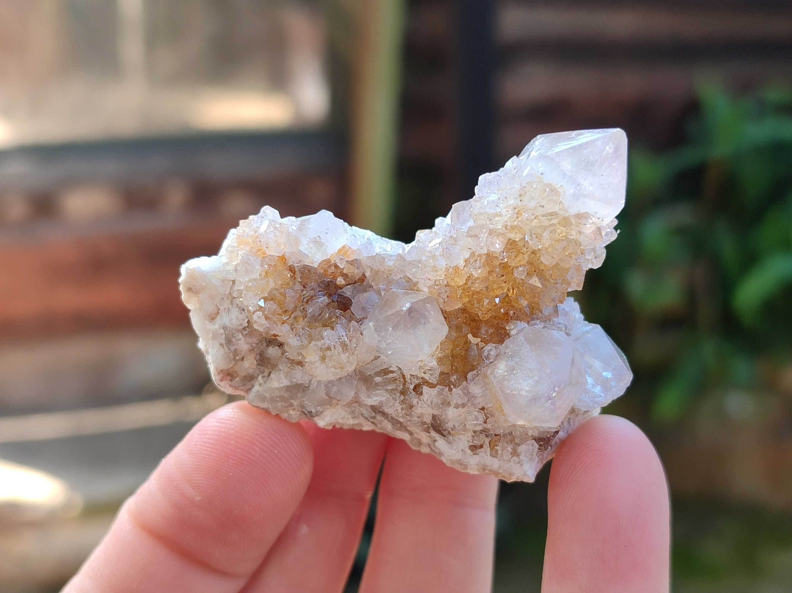 Natural White Cactus Spirit Quartz Clusters x 20 From South Africa - Toprock Gemstones and Minerals 