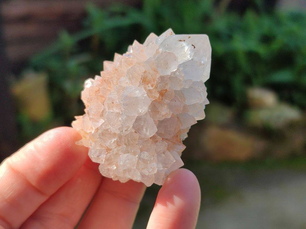 Natural White Cactus Spirit Quartz Clusters x 20 From South Africa - Toprock Gemstones and Minerals 