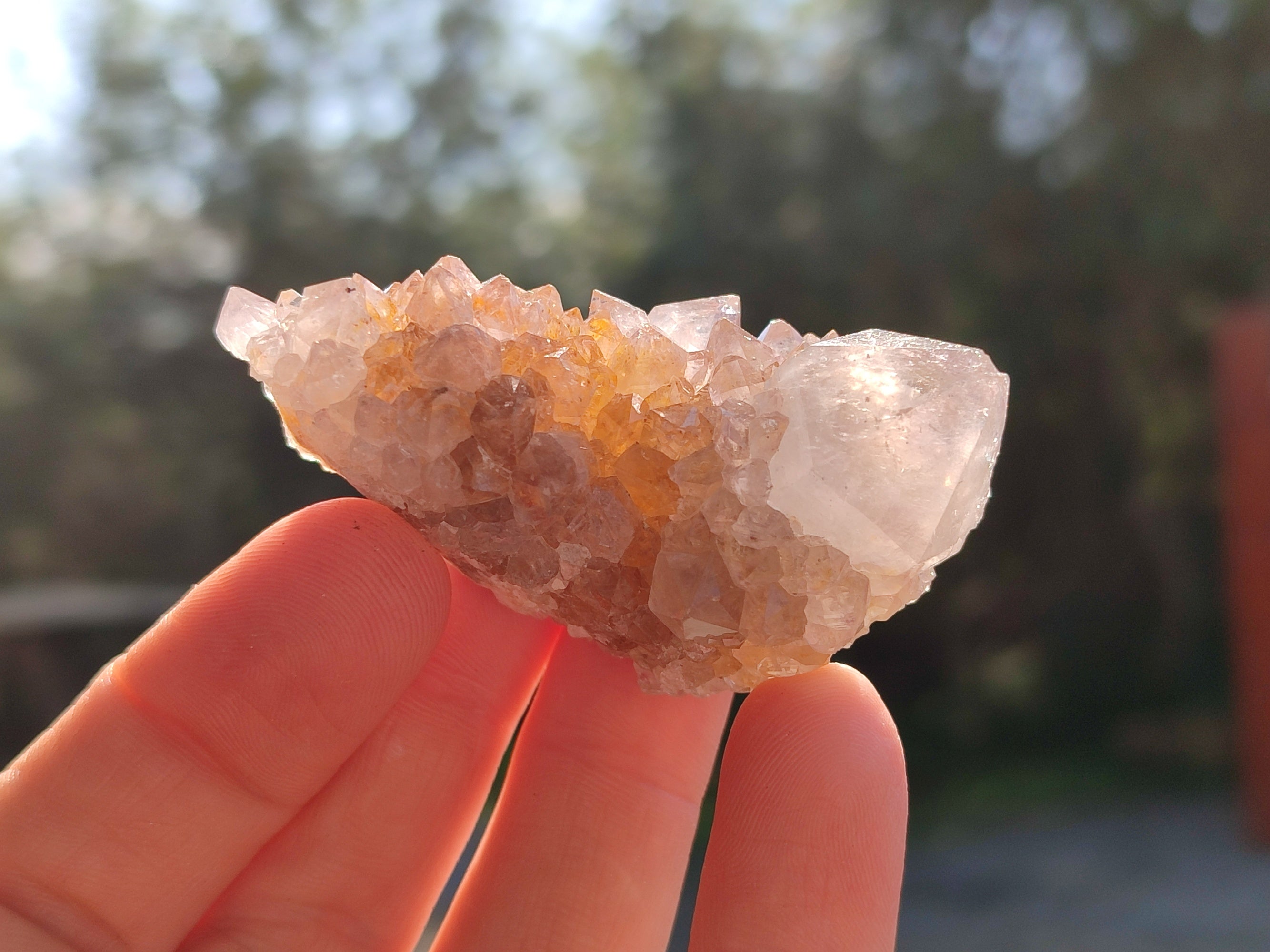Natural White Cactus Spirit Quartz Clusters x 20 From South Africa - Toprock Gemstones and Minerals 