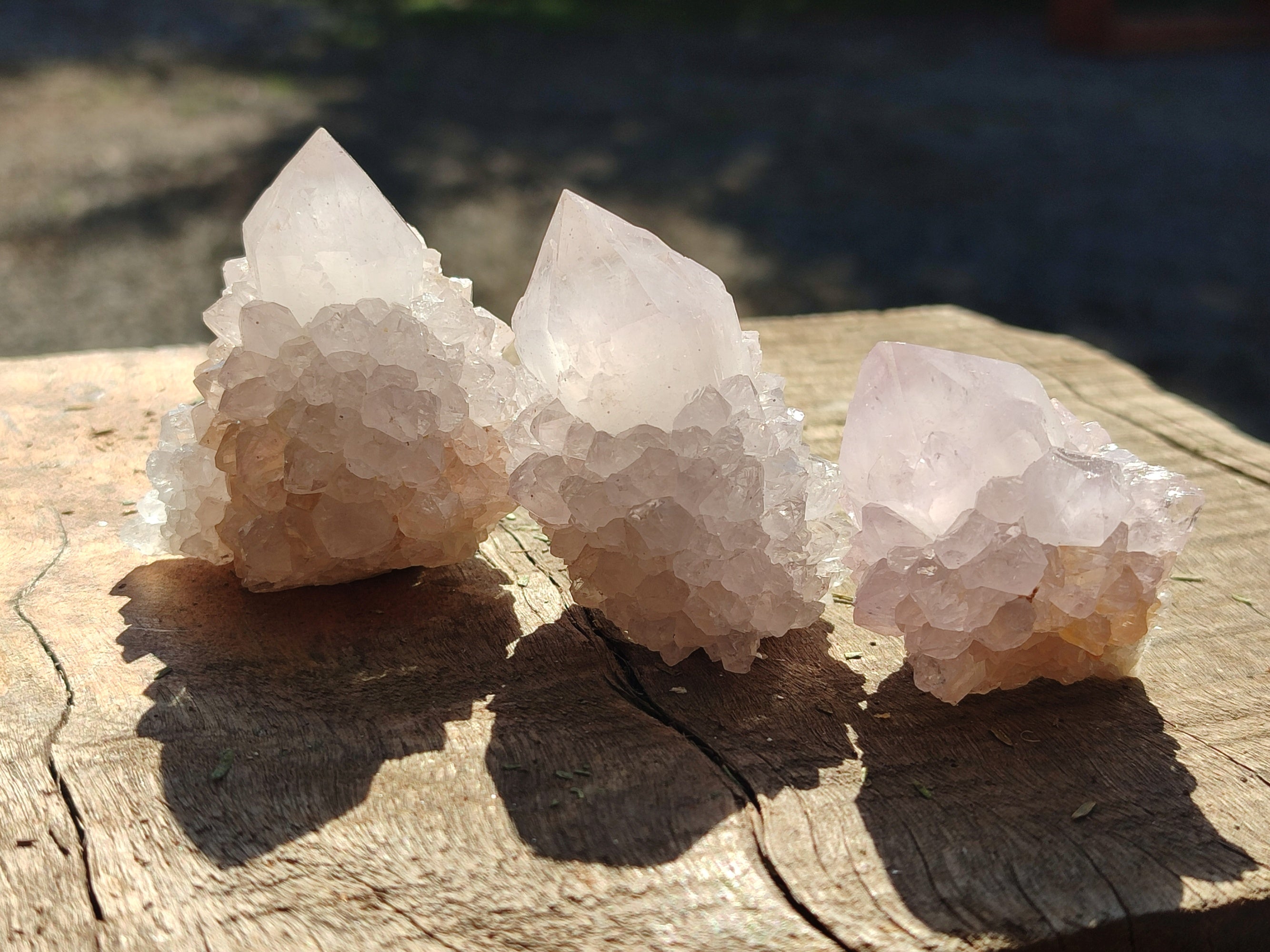 Natural White Cactus Spirit Quartz Clusters x 20 From South Africa - Toprock Gemstones and Minerals 