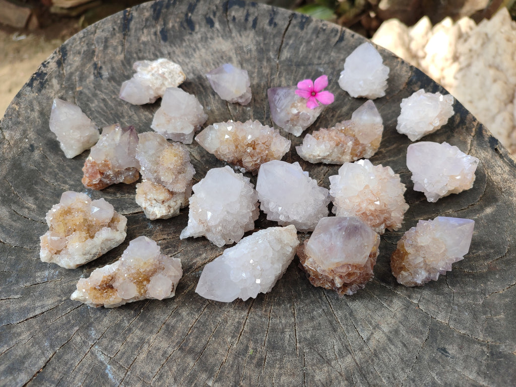 Natural White Cactus Spirit Quartz Clusters x 20 From South Africa - Toprock Gemstones and Minerals 