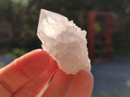 Natural White Cactus Spirit Quartz Clusters x 20 From South Africa - Toprock Gemstones and Minerals 