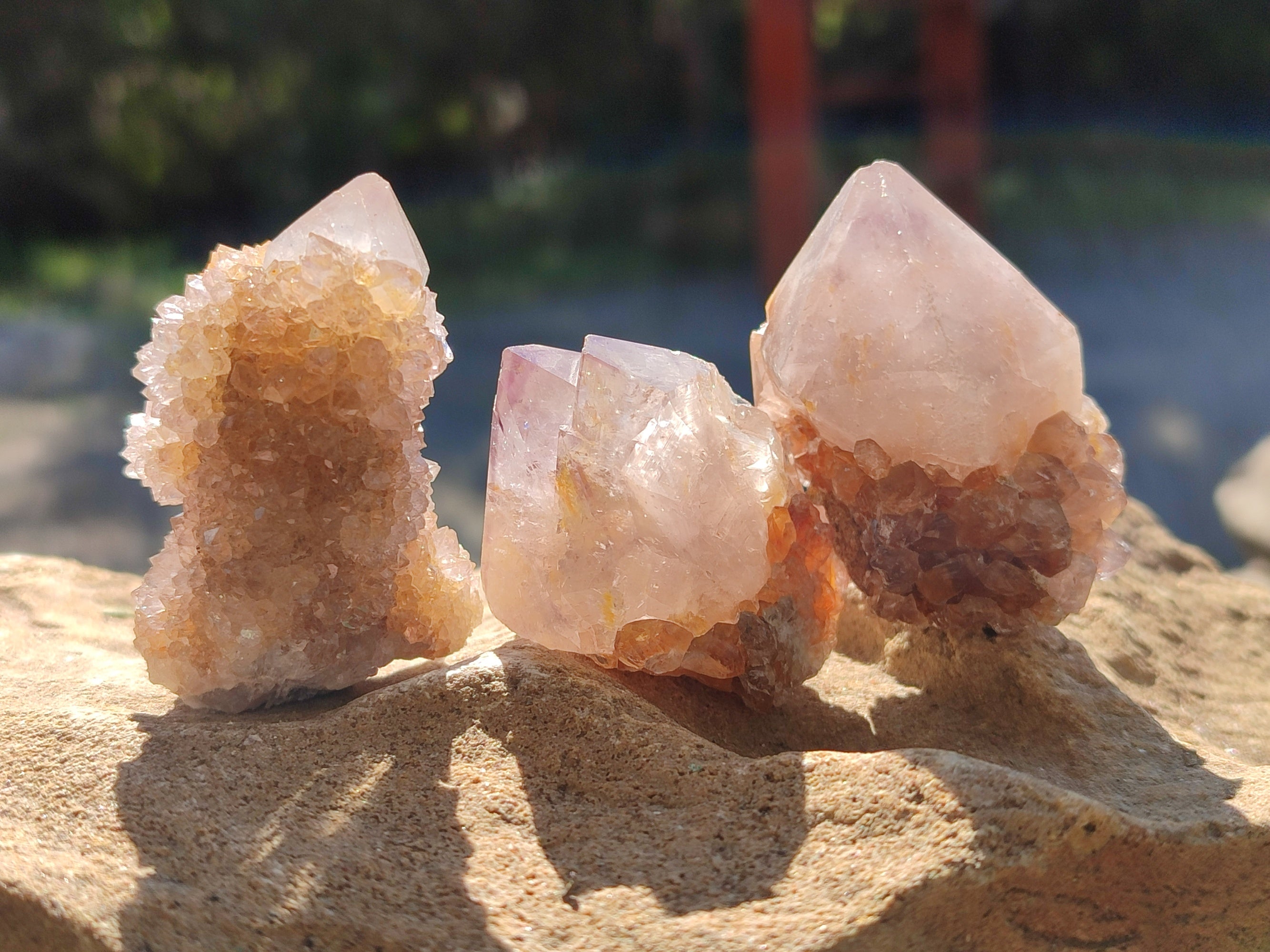 Natural White Cactus Spirit Quartz Clusters x 20 From South Africa - Toprock Gemstones and Minerals 