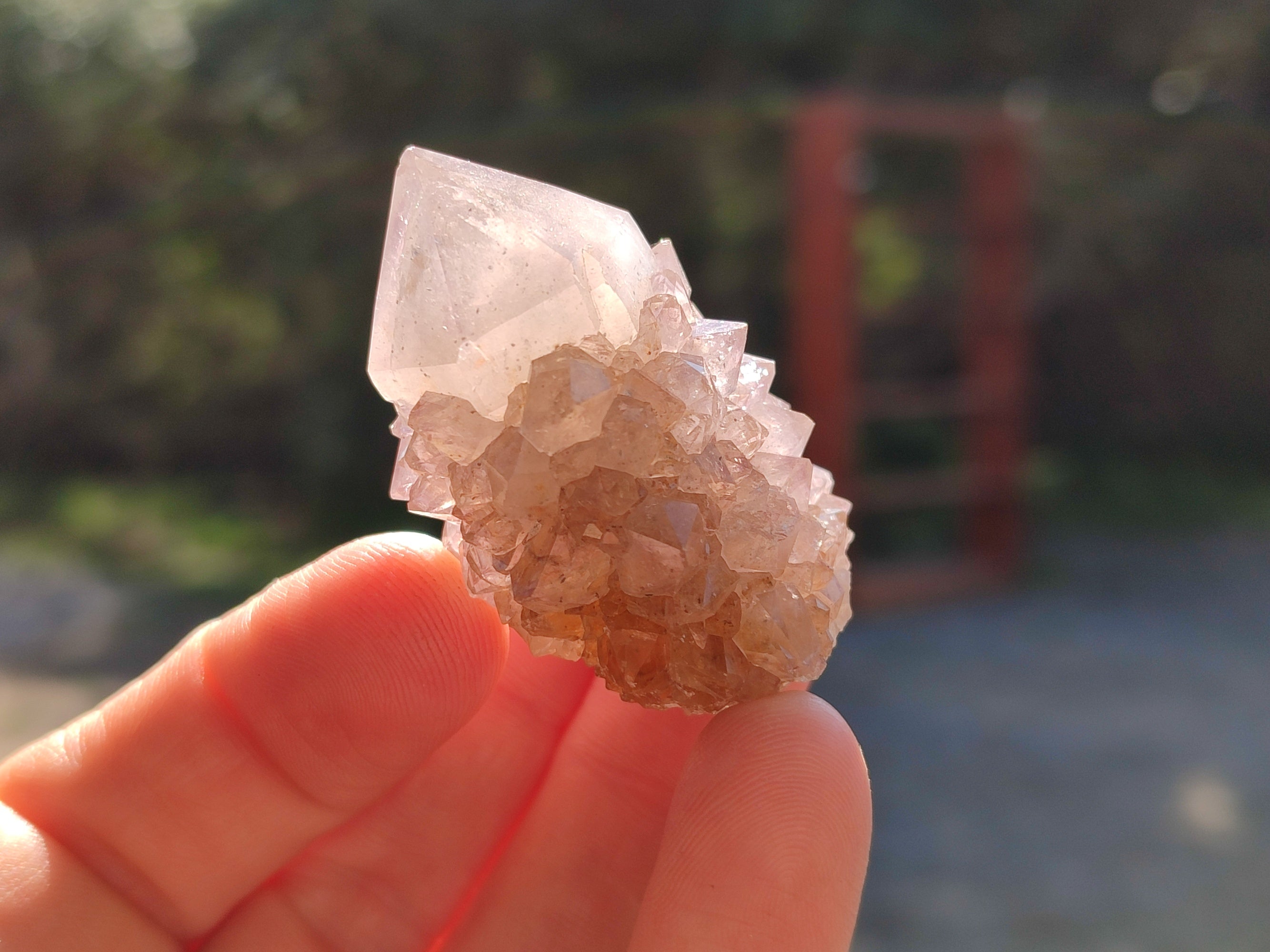 Natural White Cactus Spirit Quartz Clusters x 20 From South Africa - Toprock Gemstones and Minerals 