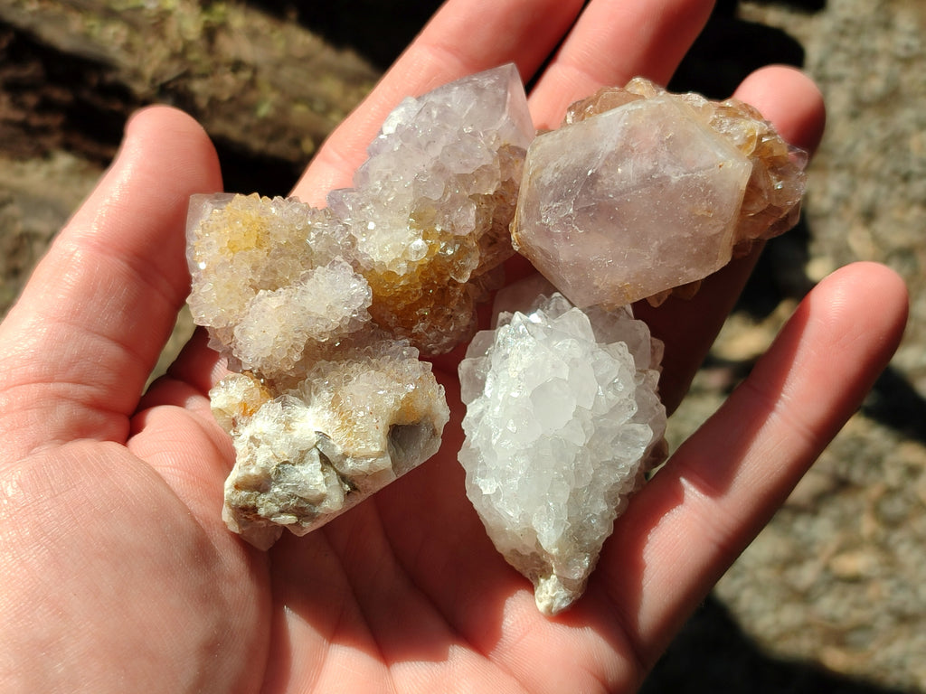Natural White Cactus Spirit Quartz Clusters x 20 From South Africa - Toprock Gemstones and Minerals 