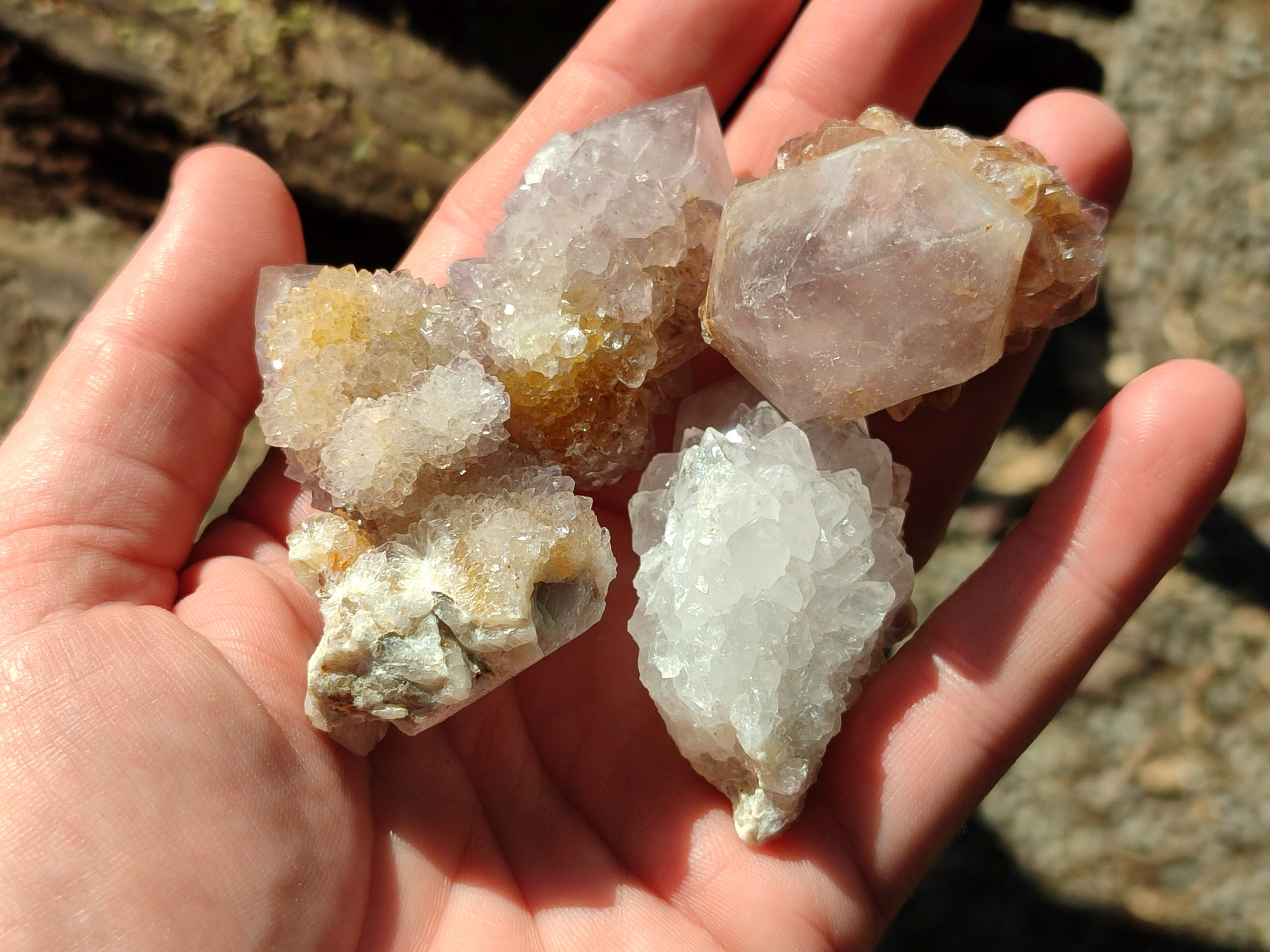 Natural White Cactus Spirit Quartz Clusters x 20 From South Africa - Toprock Gemstones and Minerals 