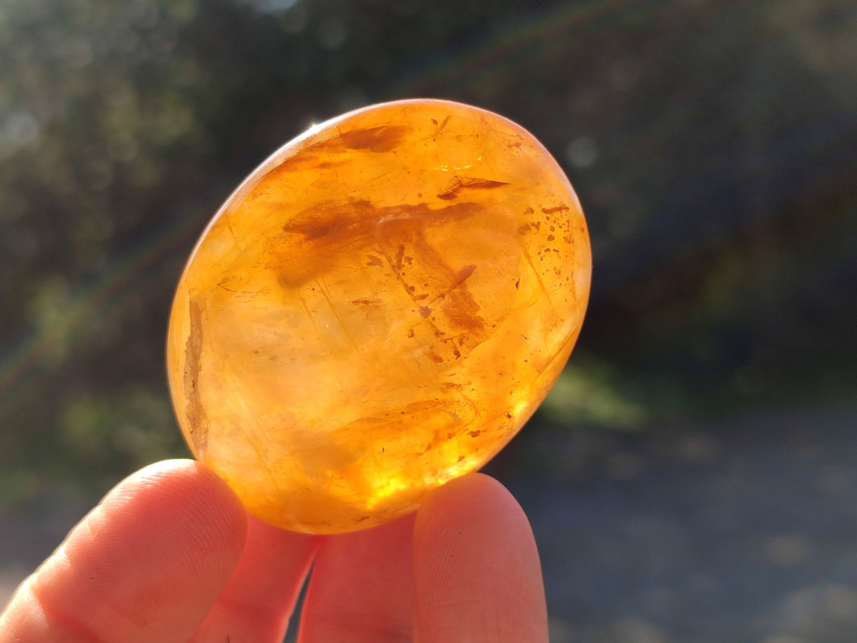 Polished Mix Of Selected Palm Stones x 20 From Madagascar - Toprock Gemstones and Minerals 