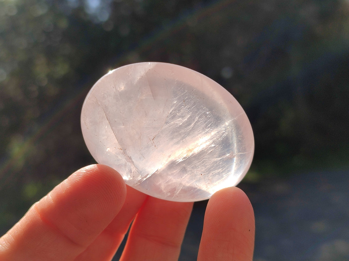 Polished Mix Of Selected Palm Stones x 20 From Madagascar - Toprock Gemstones and Minerals 