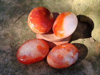 Polished Mix Of Selected Palm Stones x 20 From Madagascar - Toprock Gemstones and Minerals 