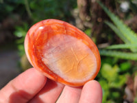 Polished Mix Of Selected Palm Stones x 20 From Madagascar - Toprock Gemstones and Minerals 