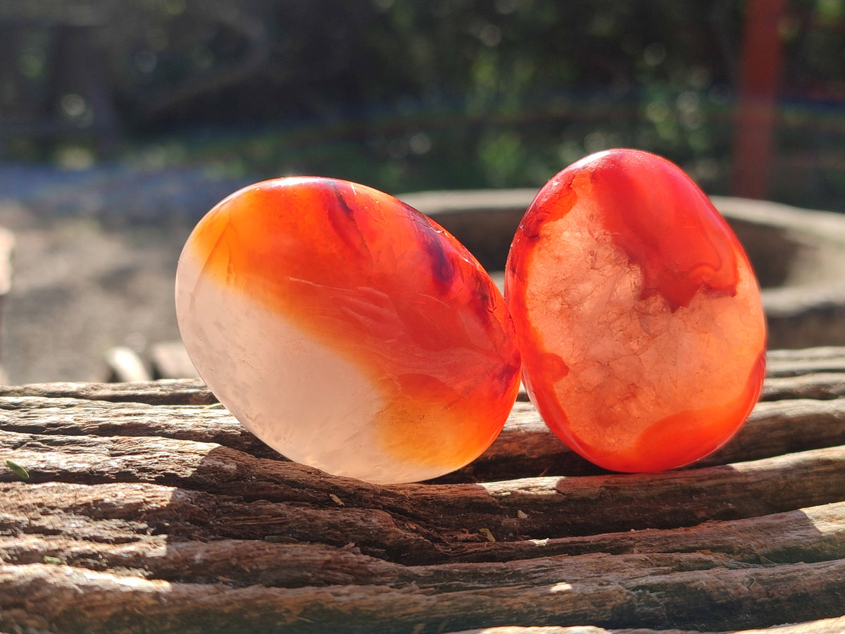 Polished Mix Of Selected Palm Stones x 20 From Madagascar - Toprock Gemstones and Minerals 