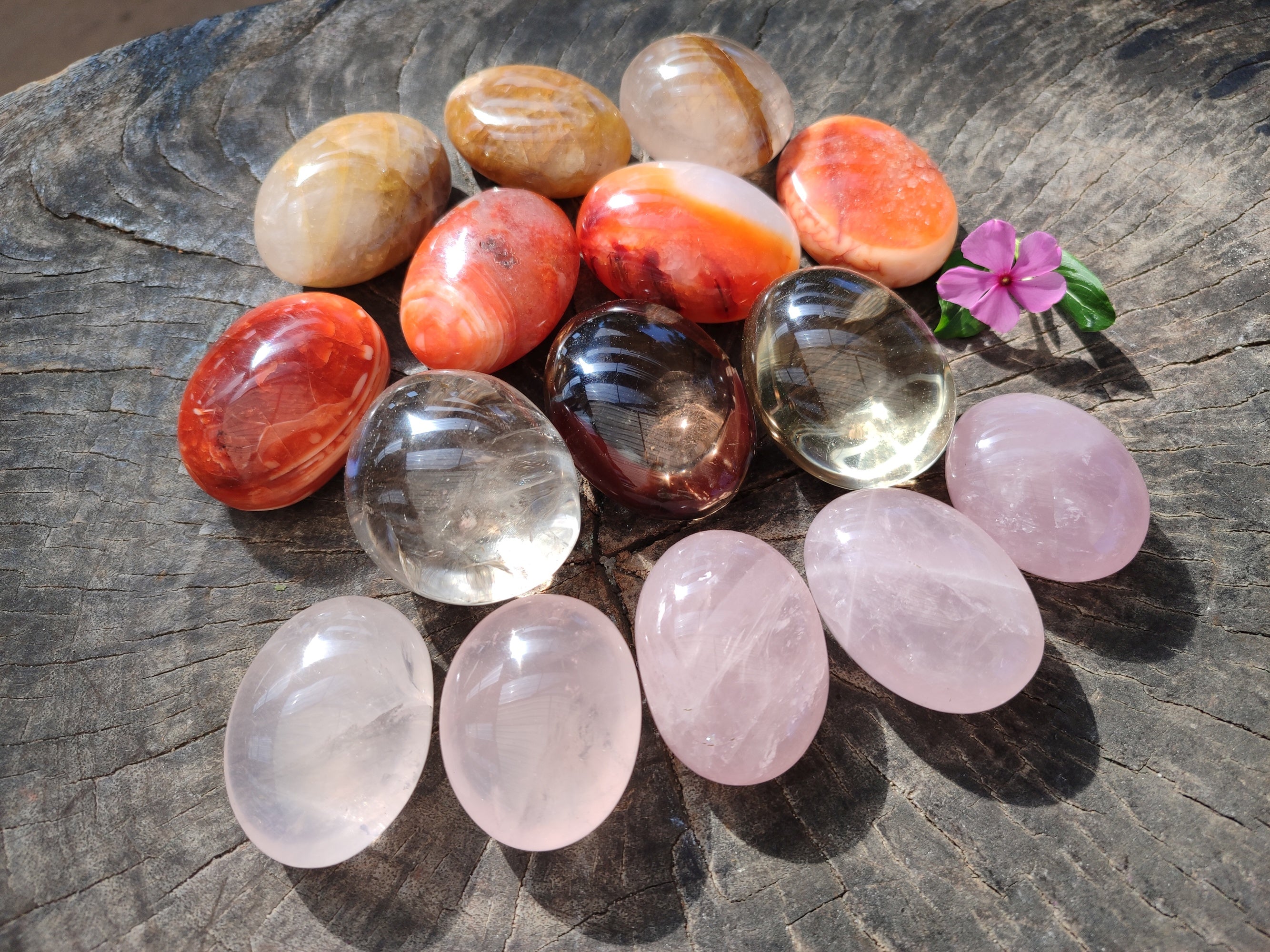 Polished Mix Of Selected Palm Stones x 20 From Madagascar - Toprock Gemstones and Minerals 