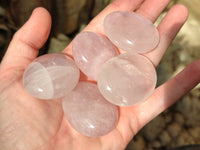 Polished Mix Of Selected Palm Stones x 20 From Madagascar - Toprock Gemstones and Minerals 