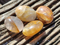 Polished Mix Of Selected Palm Stones x 20 From Madagascar - Toprock Gemstones and Minerals 
