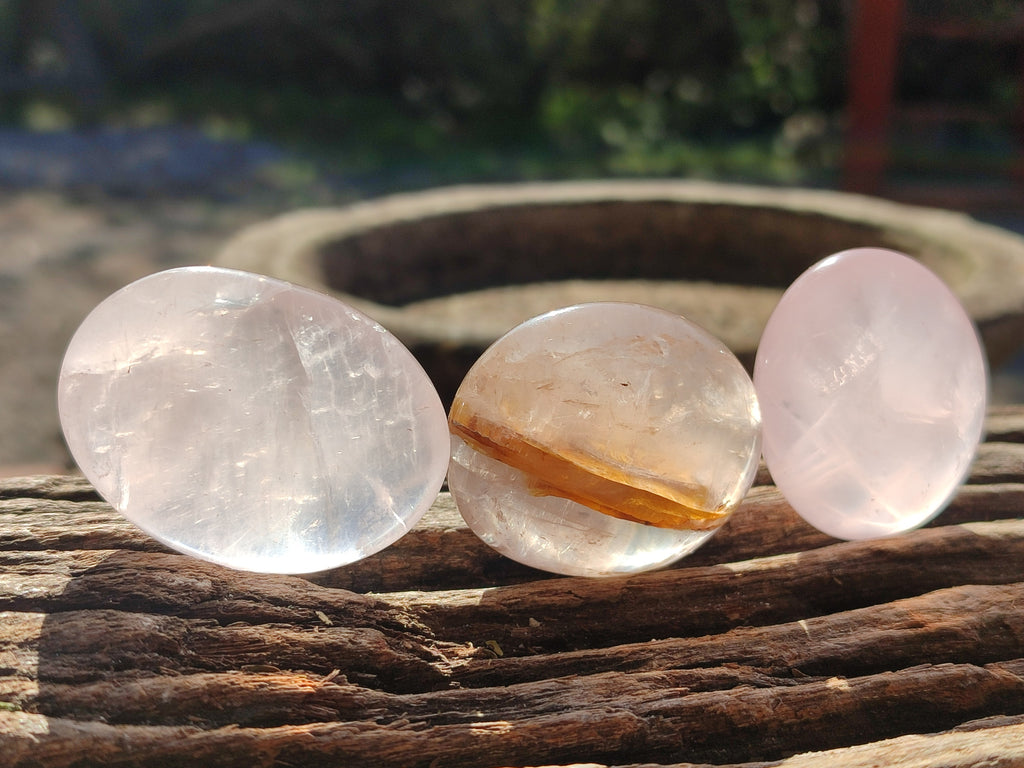 Polished Mix Of Selected Palm Stones x 20 From Madagascar - Toprock Gemstones and Minerals 