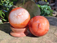 Polished Carnelian Agate Spheres x 3 From Madagascar - Toprock Gemstones and Minerals 