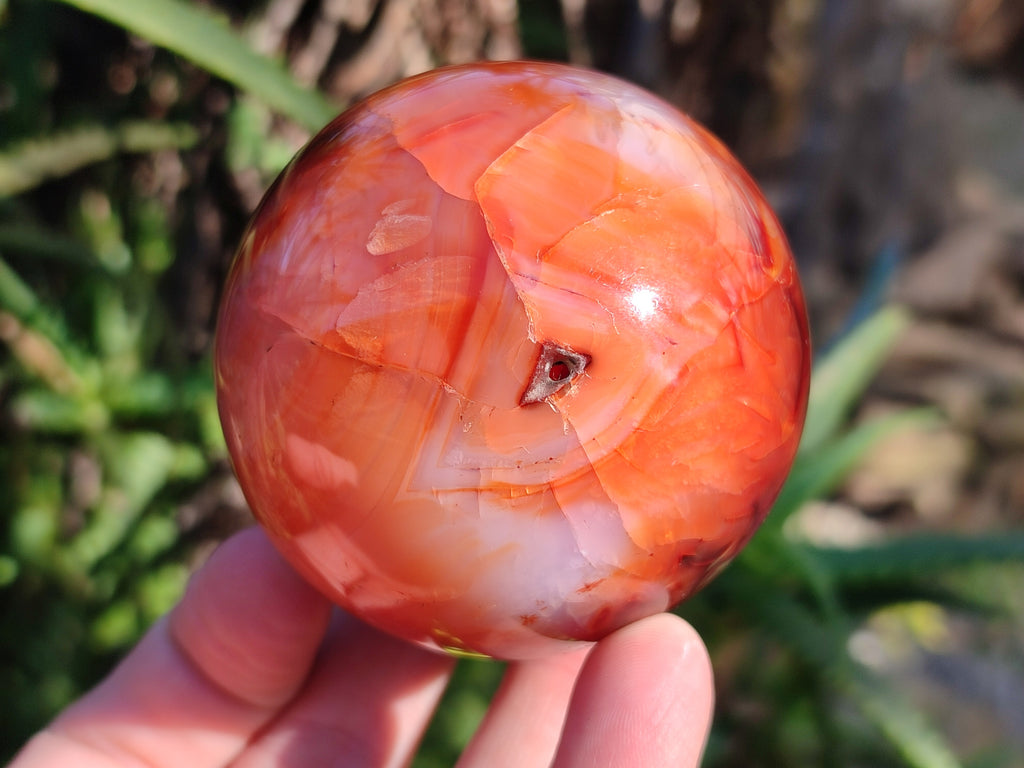 Polished Carnelian Agate Spheres x 3 From Madagascar - Toprock Gemstones and Minerals 