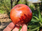 Polished Carnelian Agate Spheres x 3 From Madagascar - Toprock Gemstones and Minerals 