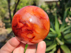 Polished Carnelian Agate Spheres x 3 From Madagascar - Toprock Gemstones and Minerals 